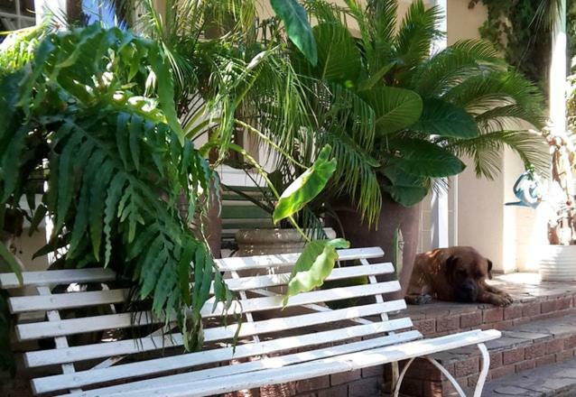 Mavilla Stellenbosch B&B Zewnętrze zdjęcie